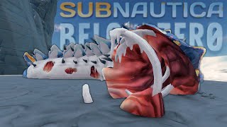 The Leviathan Graveyard  Subnautica Below Zero [upl. by Enelhtak]