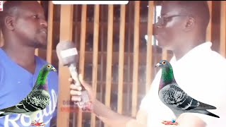 éleveur de pigeons voyageur est spécial colombophile 2022 de sénégal [upl. by Eibbil]