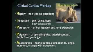 A Newly Detected Systolic Murmur When to Image and When to Refer [upl. by Burkhard]