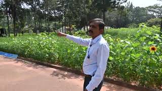 Agroforesty Based Integrated Farming System  Dr DC Hanumanthappa [upl. by Thayne]