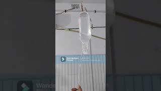 saline solution drip in hospital [upl. by Ulphi]