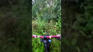 Full Send 🤙 shorts mtb [upl. by Aysa]