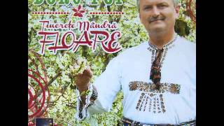 Doru Pop  Fama Doamne o fantana  CD  Tinerete mandra floare [upl. by Mourant438]