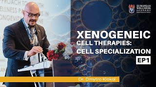 Xenogeneic Cell Therapies Cell Specialization [upl. by Janaye431]