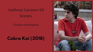 Anthony Larusso all scenes S4 twixtor scenepack  Cobra Kai 2018 [upl. by Blumenfeld909]