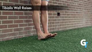 Tibialis Wall Raises Exercise Demo [upl. by Koetke913]