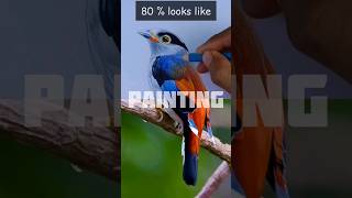 Painting realistic Frogmouth bird art shortvideo coloring [upl. by Adianez]