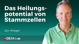 Krank und verzweifelt StammzellenAktivierung zeigt unfassbare Resultate  QS24 [upl. by Aleil]