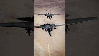 F14B Tomcats Refuel Over Nevada Desert F14Tomcats NevadaDesert shorts fighterjet [upl. by Yramliw]