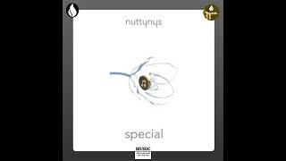 Special Radio Edit  Nutty Nys [upl. by Atenahs248]