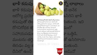 Benefits of Eating Amla on an Empty Stomach HealthTips [upl. by Tenaj]