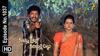 Seethamma Vakitlo Sirimalle Chettu  28th December 2018  Full Episode No 1037  ETV Telugu [upl. by Loftus]