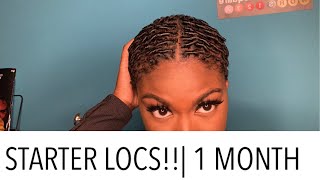 STARTER LOCS  ONE MONTH  COMB COILS  OH JUU [upl. by Thrift600]