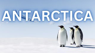 Witness Natures Masterpieces Top 7 Spectacular Spots of Antarctica [upl. by Eenram403]