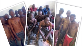 Migrants being sold as slaves in Libya IOM reports [upl. by Redneval642]