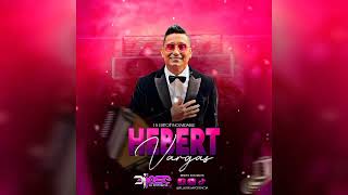 Voy a Amarte 15 EXITOS DE HEBERT VARGAS VallenatoMix [upl. by Dnalkrik]