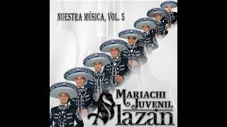 Pescador de Hombres  Mariachi Juvenil Alazán Cover [upl. by Eitsyrk]