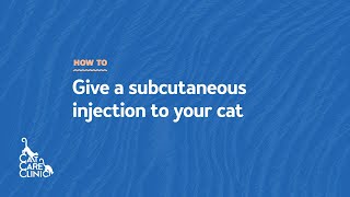 How to Give a Subcutaneous Injection to your Cat Cat Care Clinic  Madison WI [upl. by Dorthy]