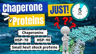 The Shocking Truth About Chaperone Proteins No One Tells You [upl. by Nedaj914]