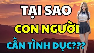 Tại Sao Đàn Ông Và Phụ Nữ Cần Quan Hệ Tình Dục [upl. by Sello]