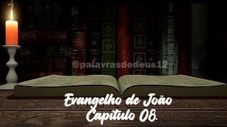 Evangelho João Cap 08 evangelho bíbliaemáudio bíbliafalada [upl. by Enihpesoj]