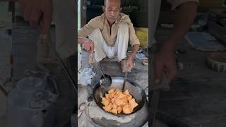 Wah Etna Testy Samosa 👌🤯 ytshorts food [upl. by Emmit]