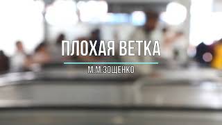 Плохая ветка ММ Зощенко [upl. by Ludlew]