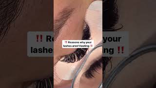 Quick Fix Why Your Lash Extensions Arent Lasting  lashes [upl. by Beaumont]