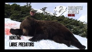 Hunting large predators Jakt på store rovdyr av Kristoffer Clausen Filmtrailer [upl. by Tjon]