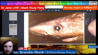 Dr Jaws LIVE 62 Bramble Shark Study Party [upl. by Naitirb]