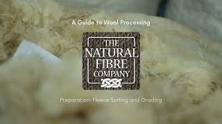 A Guide To Wool Processing Stage One Preparation [upl. by Hector]