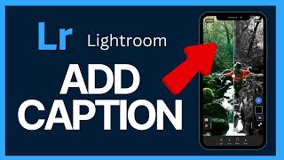 How to Add Captions in Lightroom 2024 [upl. by Cypro968]