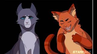 Warrior cat memes  funny [upl. by Aridan]