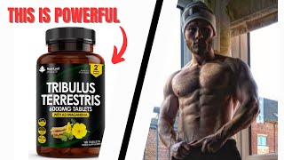 this herb will boost your Testosterone 4 pathways [upl. by Henarat501]