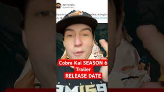 Cobra Kai Season 6 Official Trailer RELEASE DATE shorts cobrakai cobrakaiseason6 karatekid [upl. by Il72]