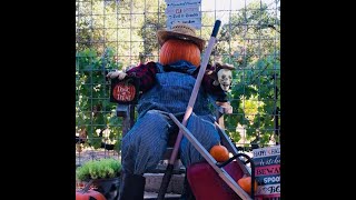 DIY EASY HALLOWEEN SCARECROW FOR YARD [upl. by Khanna]