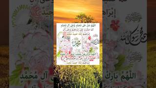 DAROOD E IBRAHIMIdaroodsharif daroodpak youtubeshorts ❤❤❤❤❤❤❤ [upl. by Srednas]