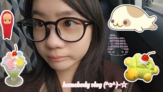 homebody vlog ☆ hanging out with friends baking decorating room ๑ ￫ܫ￩ [upl. by Ballard204]