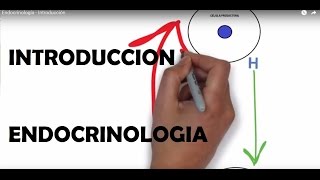 Endocrinología  Introducción [upl. by Erdnuaed]