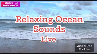 Relaxing Ocean Sounds Live [upl. by Toma122]