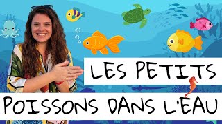 Les petits poissons dans leau  Comptine à gestes  Andreeas Music Box [upl. by Hauhsoj585]