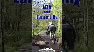 Cannock Chase famous Follow the dog MTB trails [upl. by Octavian]