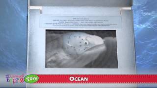 Ocean A Photicular Book [upl. by Yaker]