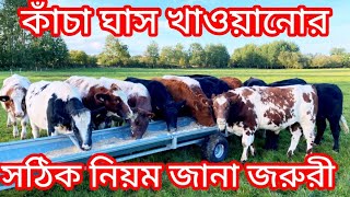 কাঁচা ঘাস খাওয়া তে এই ভুল করছেন না তো দেখুন। [upl. by Wenonah937]