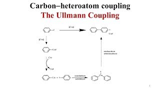 Ullmann Coupling  Carbon Heteroatom Coupling [upl. by Etteyniv]