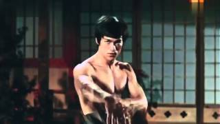 Bruce Lee amp Stephen Chow [upl. by Lenuahs121]