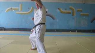 GojuRyu Basics by Sensei Paata Chelidze [upl. by Divd]