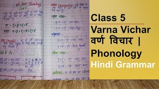 वर्ण विचार  Phonology  Hindi Grammar  Class 5  Ch 2 [upl. by Cynthie]