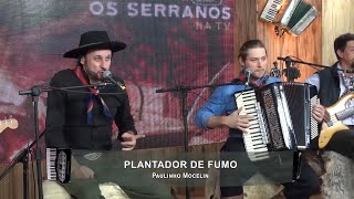 Paulinho Mocelin  quotPlantador de Fumoquot 🎹🎶 Encontro com Os Serranos na TV 📺 [upl. by Oakley544]