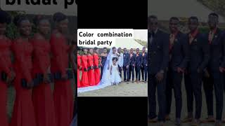 Beautiful wedding colors 😍 wedding lobola viralvideo [upl. by Annis]